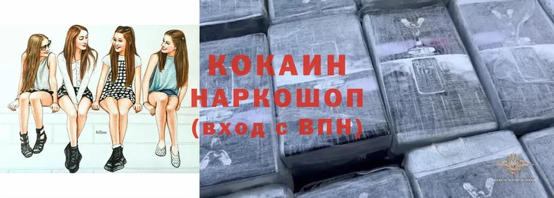 Cocaine Fish Scale  купить закладку  Берёзовка 